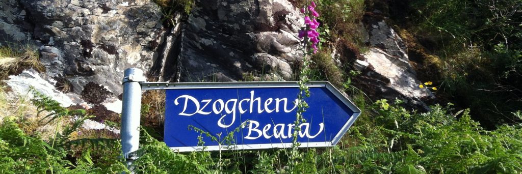 DzB sign