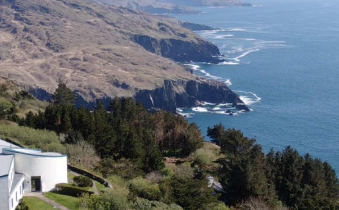 Authentic Presence Immersion