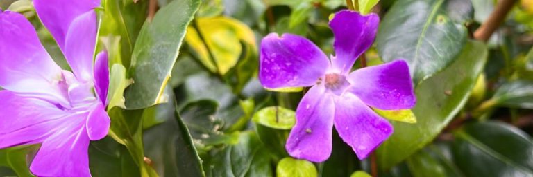 Facing Loss, Healing Grief: For the Loss of a Child – July