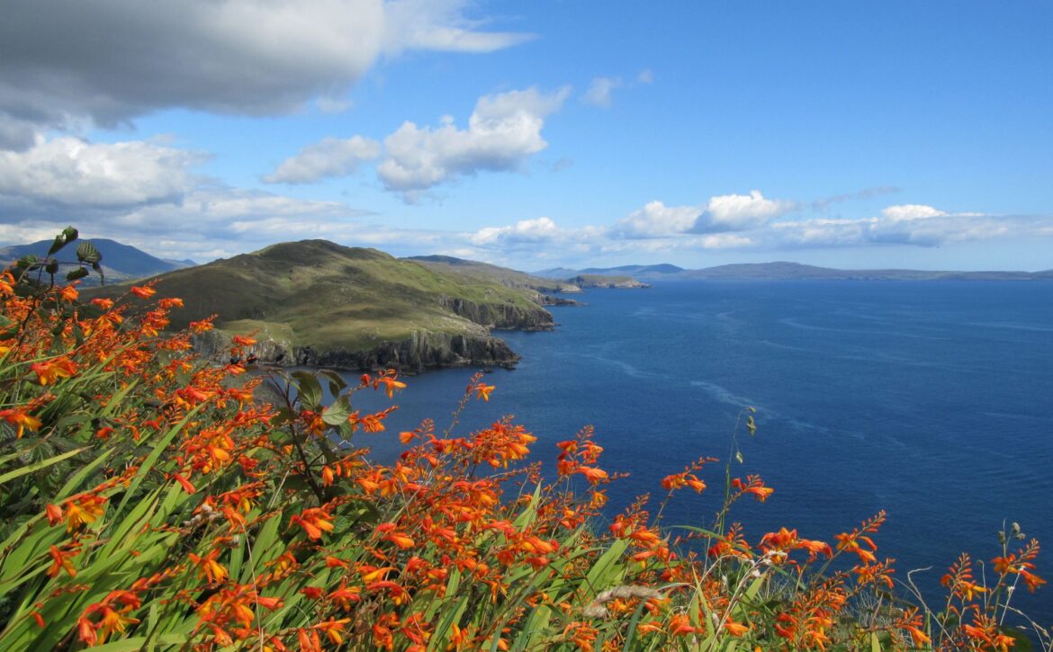 LK Week 2000px x 1300x New Website Banners