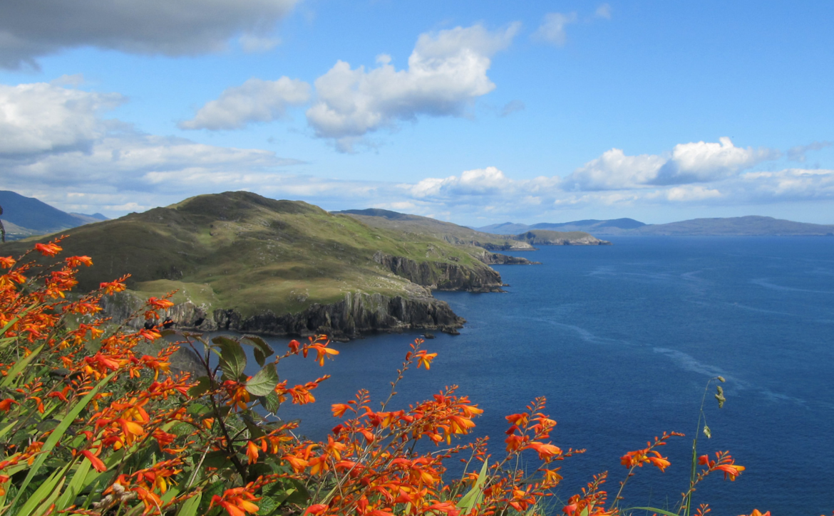 Loving Kindness Week