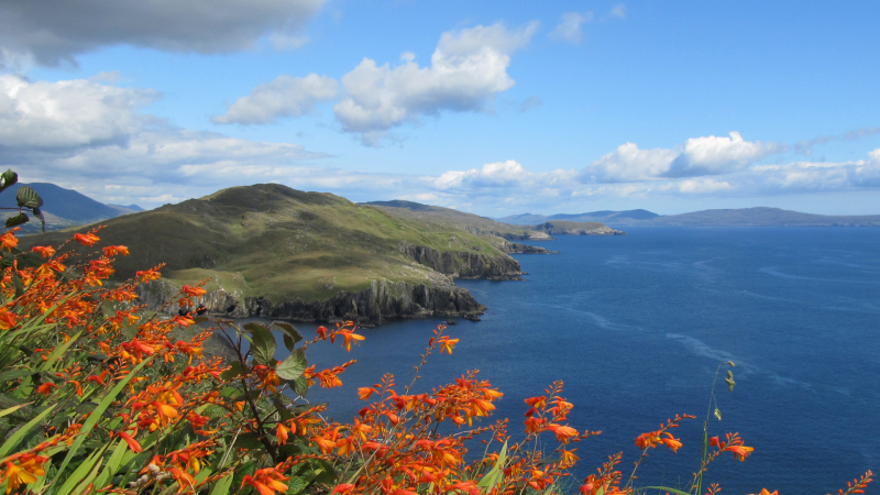 Loving Kindness Week