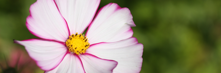 Mind, Body & Spirit – April