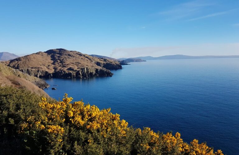 Finding Self Compassion – January