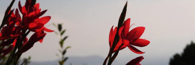 Facing Loss, Healing Grief – September