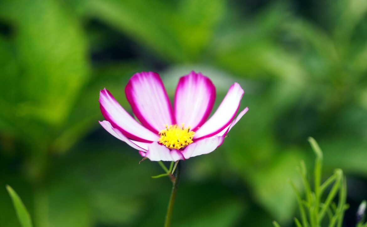 Exploring Spiritual Care 2000px x 1300x New Website Banners