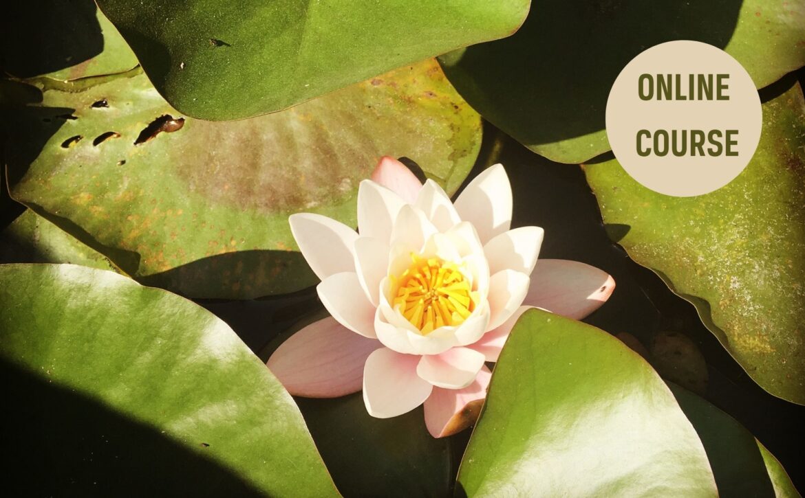 Embracing Change 2000px x 1300x New Website Banners(1)