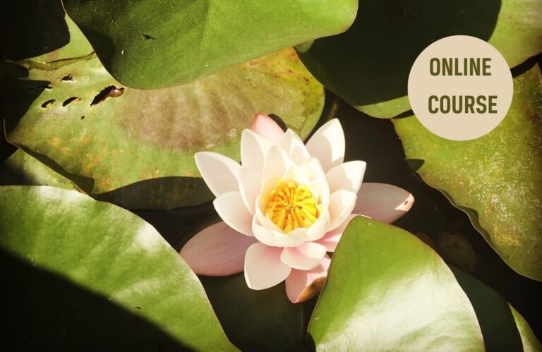 Embracing Change – Online Course